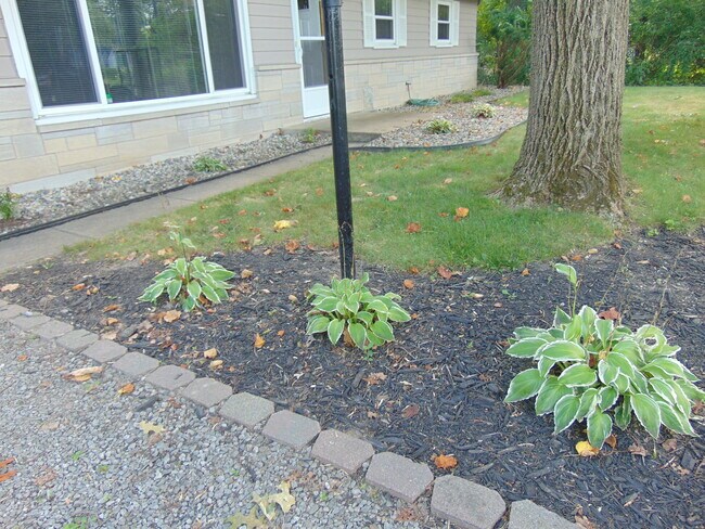 Building Photo - 5333 Bluffton Rd