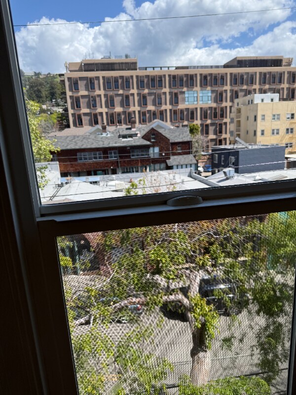 Foto principal - 1810 Euclid Ave