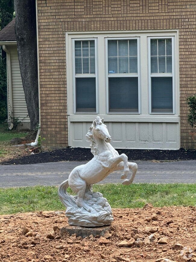 216 Bass Pond Glen Dr, Nicholasville, KY 40356 House Rental in