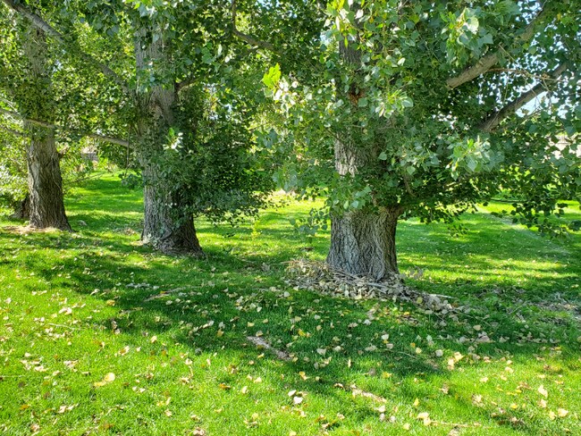 Foto del edificio - 16823 N Waterford Way