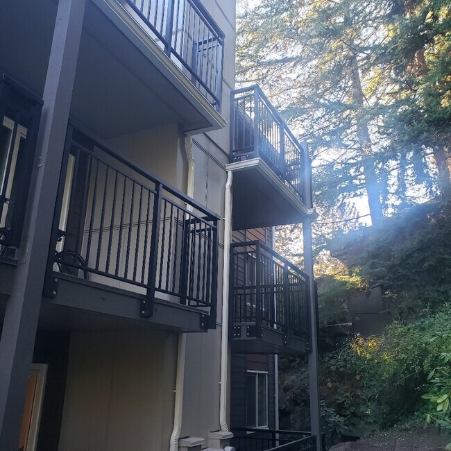 230 SW Clark St Unit C301, Issaquah, WA 98027 Condo for Rent in