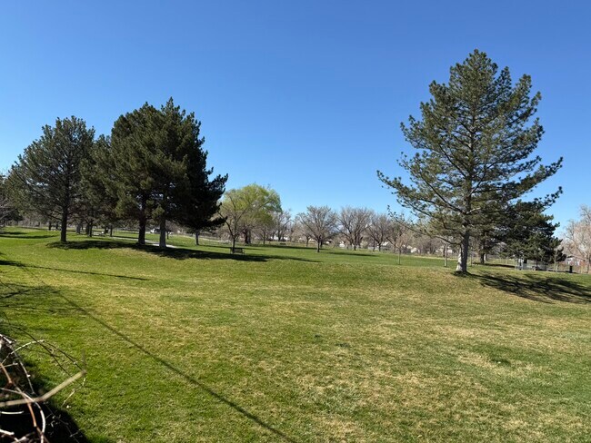 Foto del edificio - 451 N Montgomery St