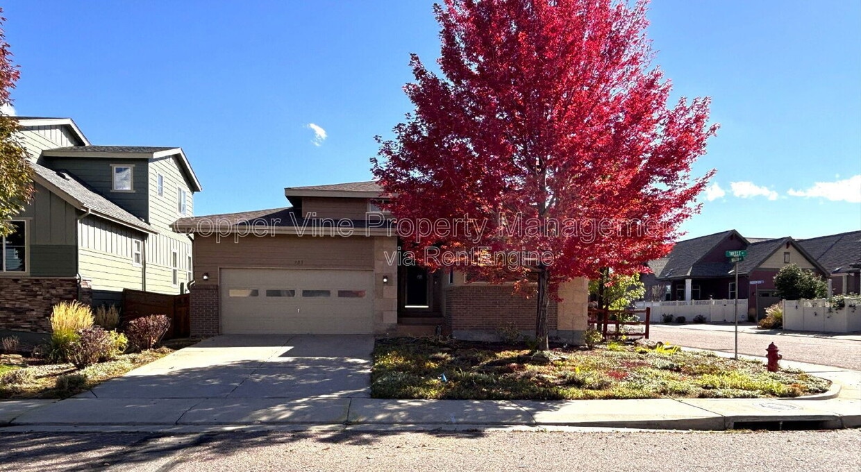 Photo - 900 Treece St