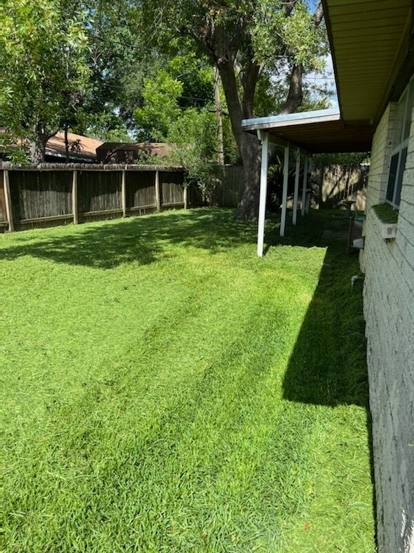 Along the back side of house - 207 Kelly Ln