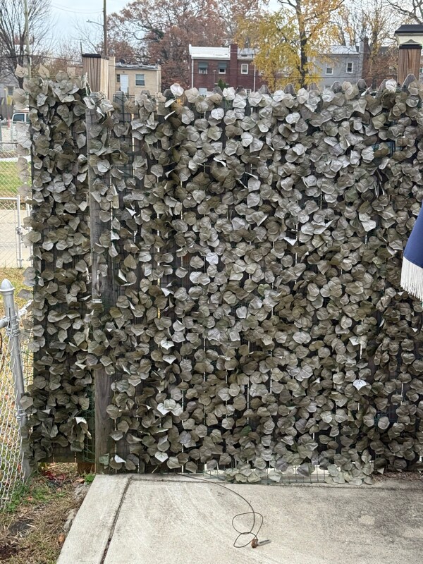 Building Photo - 1215 Savannah St SE