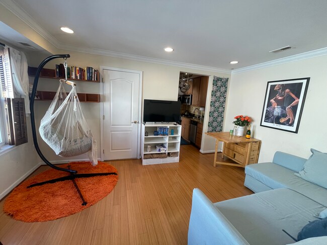 Comfy hammock chair and couch pulls out into full size sofa bed - 94 Webster St NE