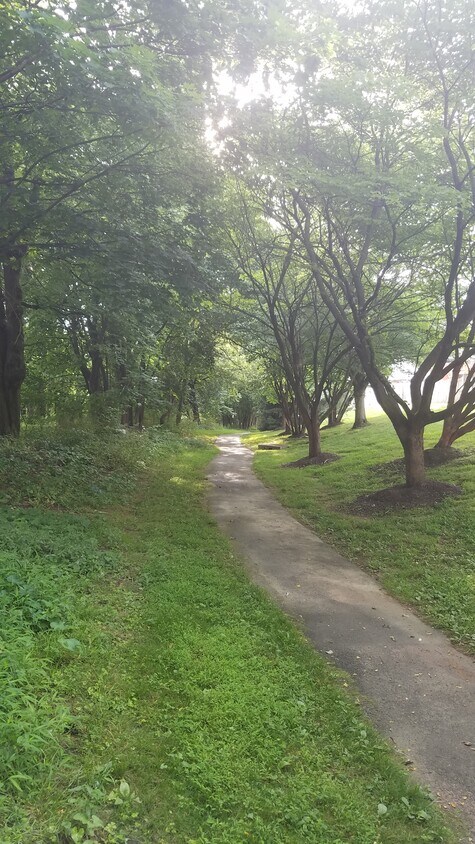 Back Trail - 152 Carolstowne Road