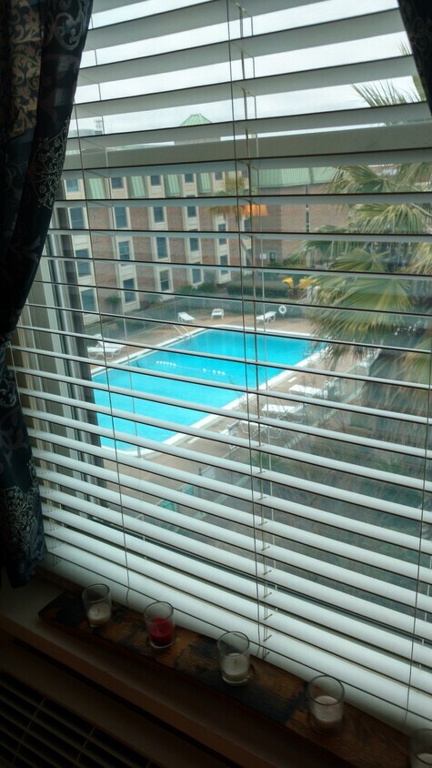 View - 224 E Garden St