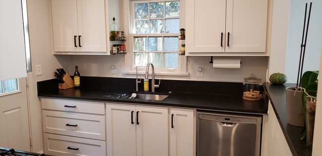 Newly renovated kitchen, stainless steel appliances - 712 Gresham Ave SE