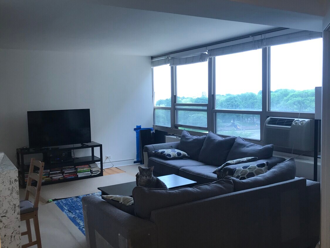 Foto principal - 3950 N Lake Shore Dr