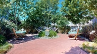 Located at 5102 Dowdell Ave in Rohnert Park, California, this thoughtfully designed outdoor courtyard offers a serene retreat surrounded by rich, mature landscaping. The space is anchored by a decorative sundial centerpiece set within a circular garden bed, framed by flowering agapanthus, ornamental grasses, and dramatic New Zealand flax plants that add bold texture and structure throughout.

Sweeping curved pathways of warm terracotta-toned concrete guide visitors through the grounds, connecting multiple relaxation areas. Freestanding hammocks are positioned strategically throughout the courtyard, inviting residents to unwind beneath the canopy of tall shade trees, including striking deep burgundy-leafed ornamentals that provide vivid seasonal color.

Well-maintained lawns border the walkways, while densely planted garden beds create a sense of privacy and natural enclosure. The landscaping transitions seamlessly between open gathering areas and more intimate, shaded nooks. In the background, a gated swimming pool area is visible through the mature hedges, adding to the range of outdoor amenities available.

The surrounding multi-story residential buildings feature stone and stucco exteriors with balconies that overlook the green space below. Under the bright Northern California sun, this courtyard presents a vibrant, resort-like atmosphere designed for both active enjoyment and peaceful relaxation.