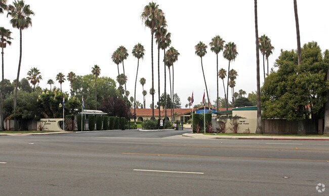 Primary Photo - California Hawaiian