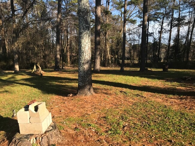 Backyard - 2280 Pope Rd