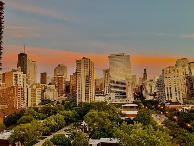 Foto del edificio - 1360 N Sandburg Terrace
