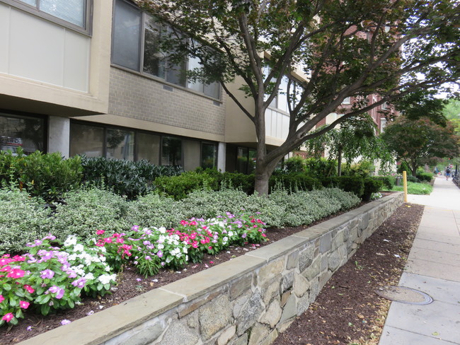 Building Photo - The Monroe House Condos