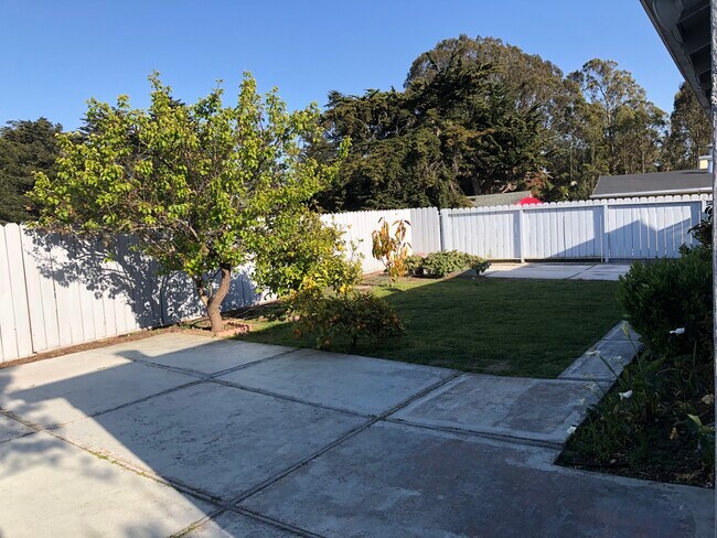 Backyard - 774 Camaritas Ave