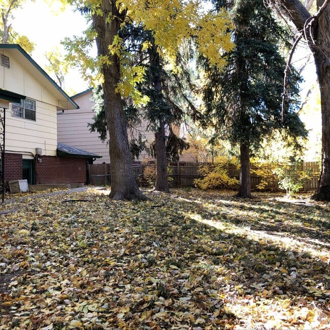 Building Photo - 2721 Meadowlark Ave