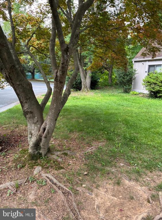 Building Photo - 11301 Gatesborough Ln