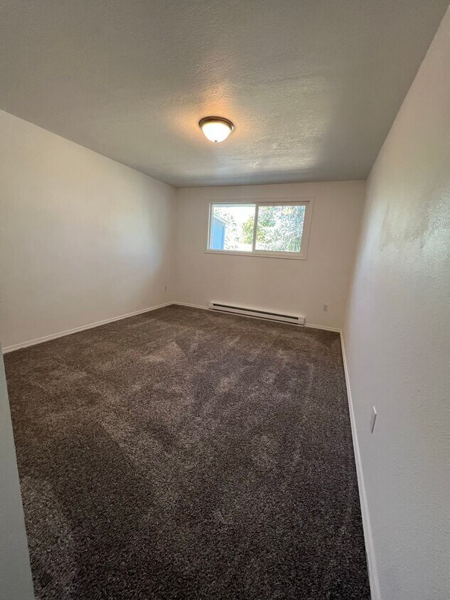 Building Photo - Newly Renovated - 2 Bedroom, 1 Bathroom - ...