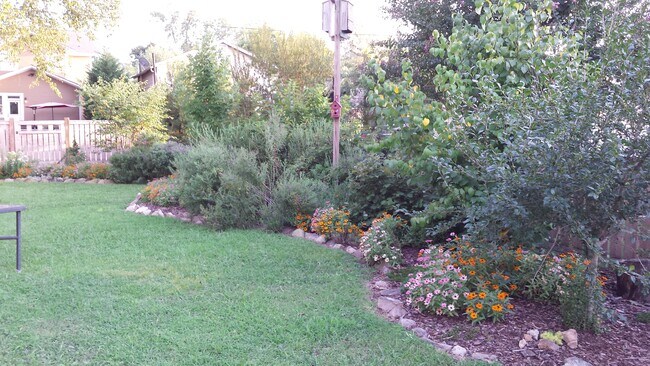Backyard - 506 Beirne Ave NE