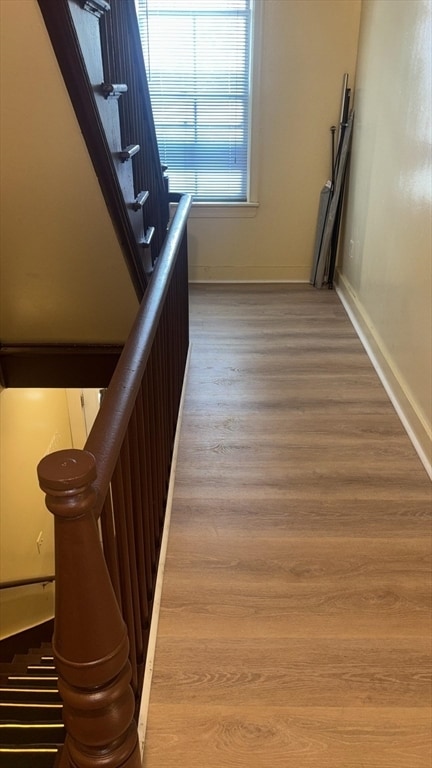 Building Photo - 24 Newbury St