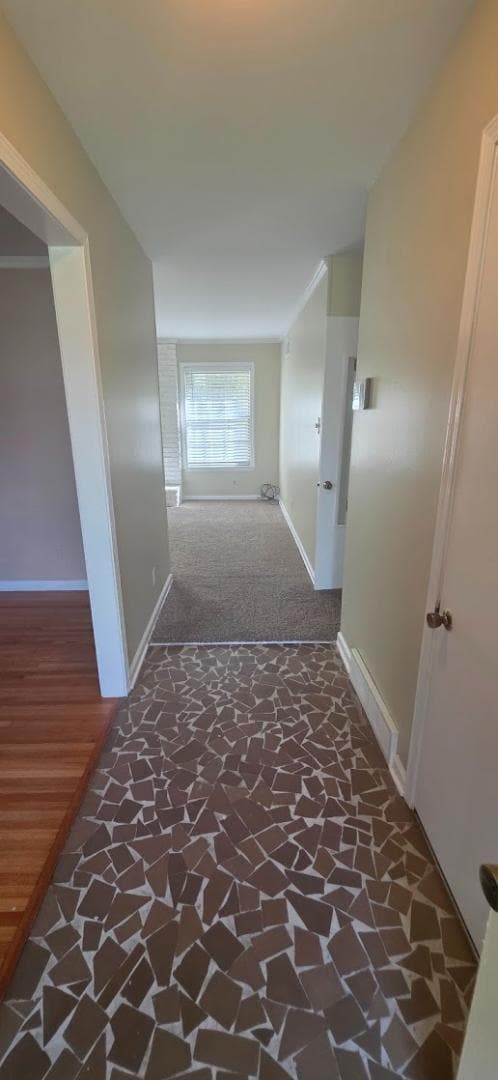 Foto del edificio - 523 Shofner Ave