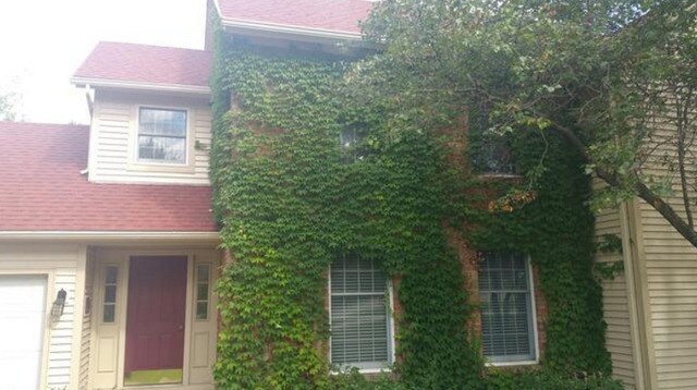 Foto del edificio - 496 Village Green Rd