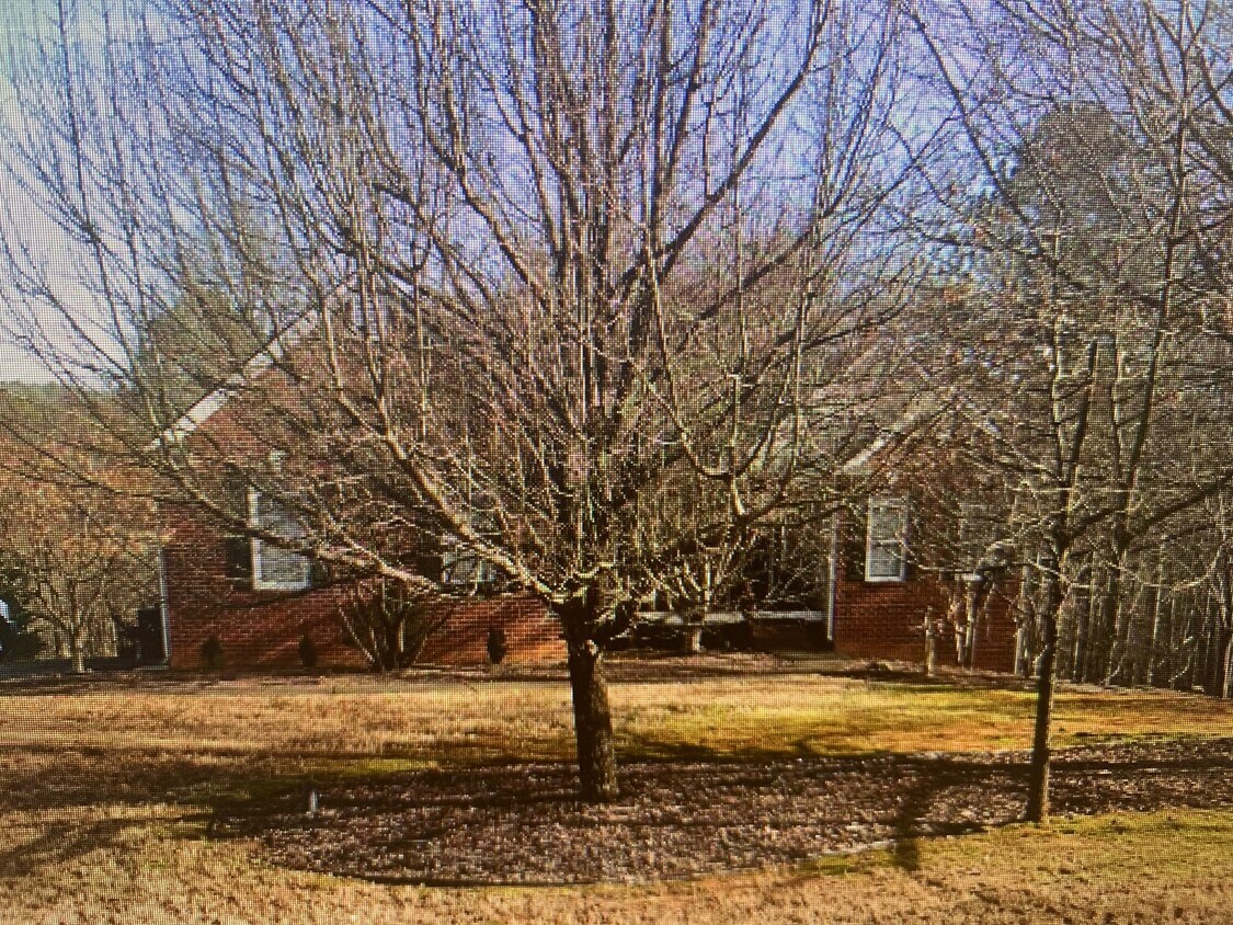 151 Preserve Pkwy, Ball Ground, GA 30107 House Rental in Ball Ground