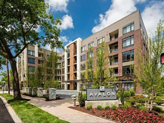 Foto del edificio - 240 E Shore Rd