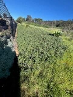 Building Photo - 266 S Carmel Rd