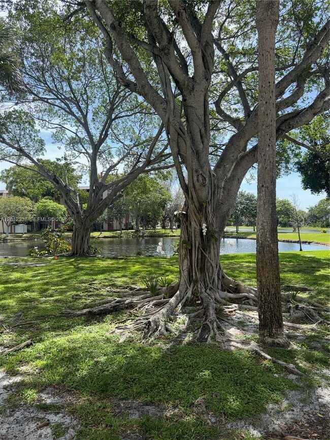 Foto del edificio - 2312 S Cypress Bend Dr