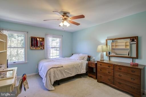 Foto del edificio - 5 Turnham Ct