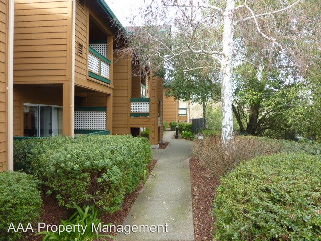 Primary Photo - 220 Stone Pine Ln