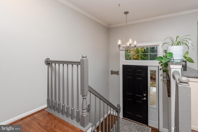 Building Photo - 1305 Sea Shell Ct