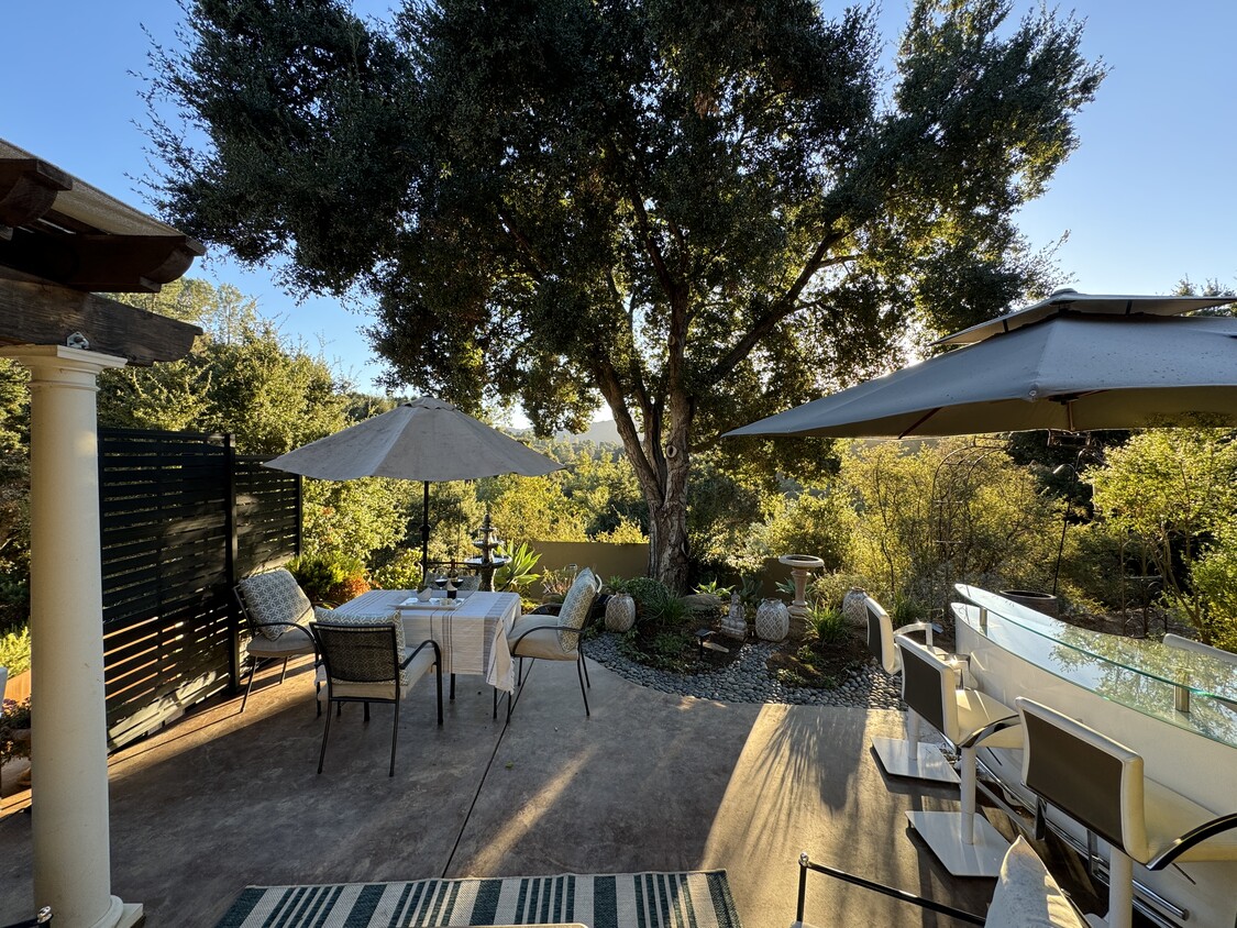 View from patio 2 - 1224 N Topanga Canyon Blvd