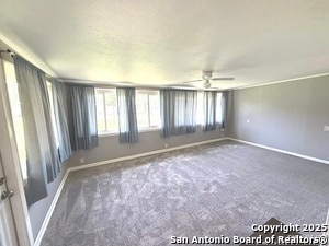 Building Photo - 318 Sprucewood Ln