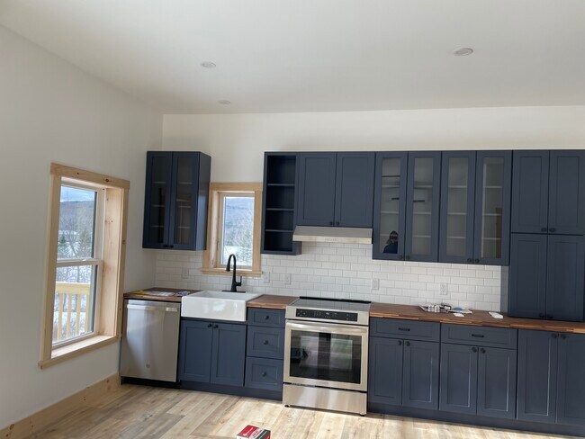 Kitchen with new induction stove - 223 Huntley Rd