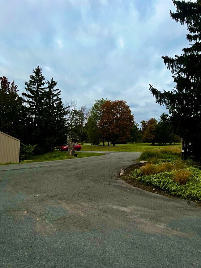 Foto del edificio - 1049 Danby Rd