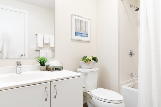 Phase II Bathroom - 267 Littleton Rd