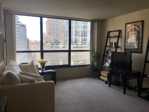 Building Photo - 405 N Wabash Ave