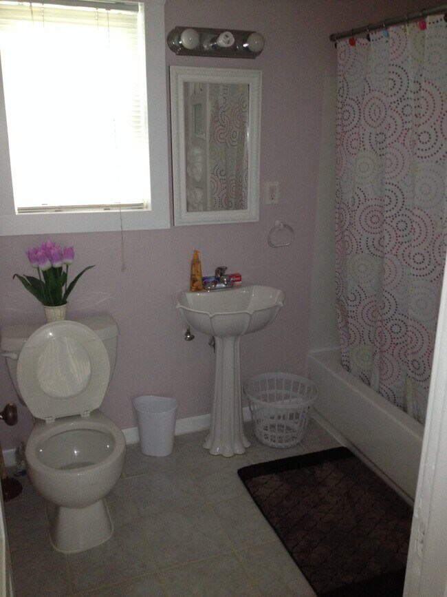 Baño inferior - 5006 8th Ave NE