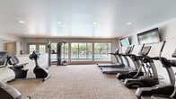 This fitness center offers a comprehensive workout environment within a single, open-plan space finished with neutral carpet tiles and recessed lighting throughout. The room is thoughtfully organized into distinct workout zones to accommodate a variety of exercise routines.

The cardio area is anchored by a row of TRUE-brand treadmills, each paired with a dedicated wall-mounted flat-screen TV, allowing users to stay entertained during their workouts. An upright stationary bike and a recumbent bike provide additional low-impact cardio options. Large windows along one wall flood the space with natural light and offer views of an outdoor pool and patio area, creating an open and energizing atmosphere.

The strength and functional training zone features a multi-station cable machine, an adjustable workout bench, and a seated row machine, catering to a full range of resistance exercises. A dedicated free weights area includes a rack of dumbbells in varying weights, complemented by a selection of medicine balls and stability balls stored on a wall-mounted rack. The clean, white walls and neutral color palette throughout contribute to a bright and motivating environment. The space is accessible via a dedicated entry door and is equipped with emergency exit signage, reflecting a practical and safety-conscious design.