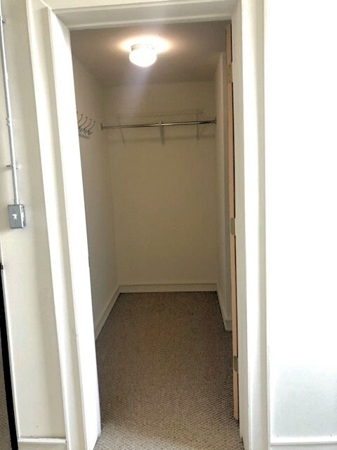Walk-in Closet - 431 Fairmount Ave