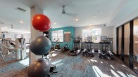 This comprehensive fitness center is designed to support a wide range of workout routines across a spacious, single-floor layout. The facility is organized into distinct zones, each tailored to a specific type of training. The cardio area is generously stocked with treadmills, elliptical machines, and stationary bikes, all positioned near large windows that flood the space with natural light and offer views of the outdoors. A bold teal accent wall adds a vibrant, energizing touch to this section, complemented by a ceiling fan overhead and patterned carpet flooring throughout.

The strength training zone features a variety of cable and resistance machines, free weights, and benches, with full-length mirrors along one wall to enhance spatial depth and assist with form. Recessed lighting ensures the area is well-lit at all times. A dedicated spin studio provides a focused environment for cycling workouts, with dark wainscoting, recessed lighting, and room for multiple spin bikes. An additional functional training area includes stability balls in multiple sizes stored on a vertical rack, offering versatility for core and balance exercises.

The facility benefits from direct outdoor access via glass doors in the cardio area, connecting the interior to an exterior greenspace. The overall design is clean and modern, with a cohesive color palette of white, grey, and teal that creates a motivating and professional atmosphere.