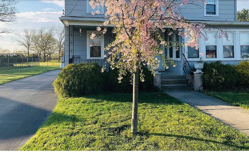Primary Photo - 306 W Arbor Ave
