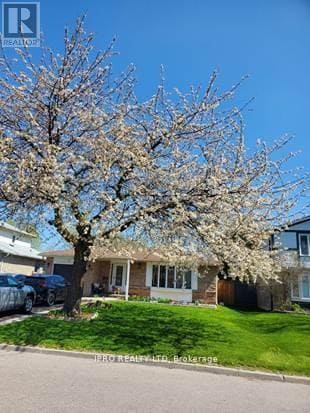Photo principale - 71 Grassington Crescent