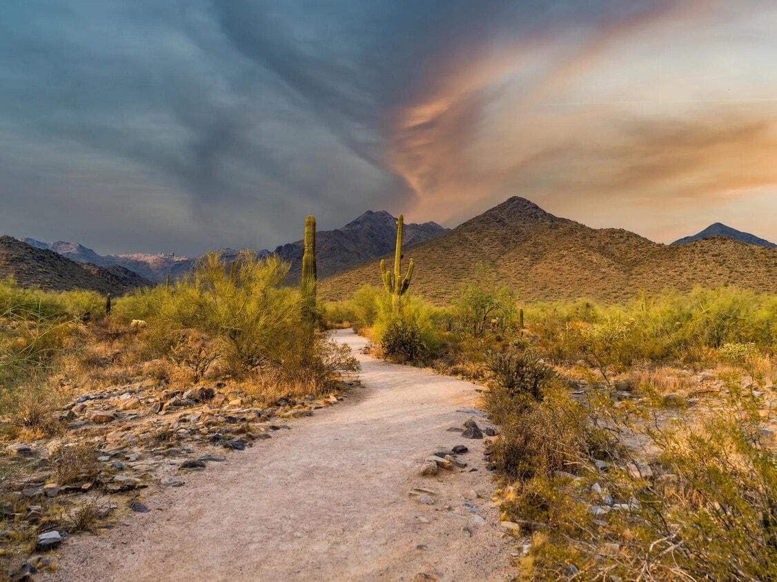 Primary Photo - Modera Kierland