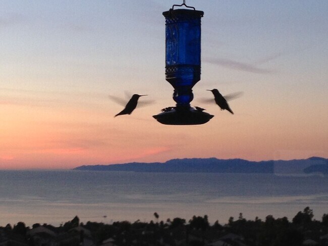 Foto del edificio - 5987 Peacock Ridge Rd