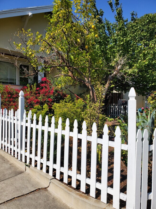 Garden - 455 Washington St