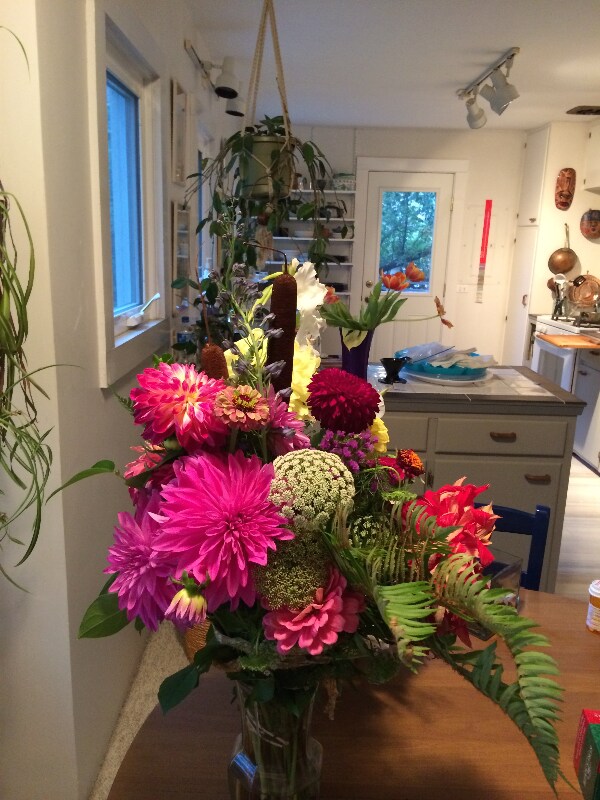 671 Siskiyou Blvd, Ashland, OR 97520 House for Rent in Ashland, OR